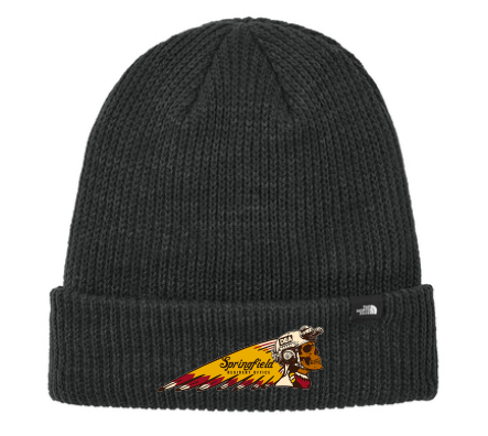 SPRINGFIELD-The North Face® Truckstop Beanie-black