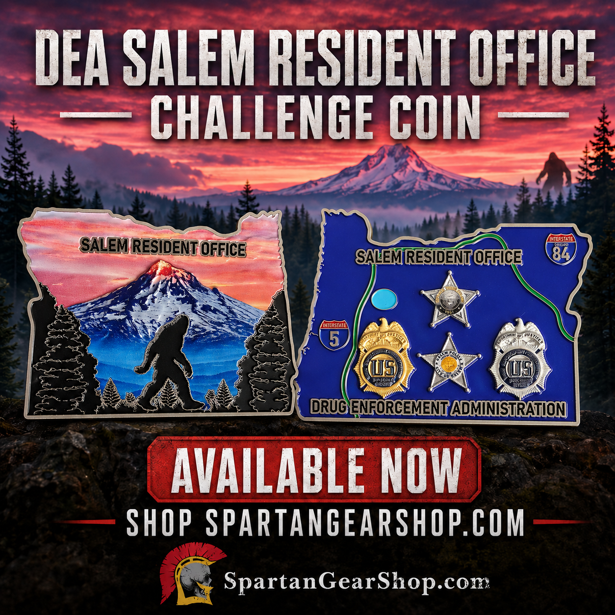 LIMITED DEA SALEM RESIDENT OFFICE 3" COIN