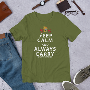 KEEP CALM and ALWAYS CARRY T-SHIRT